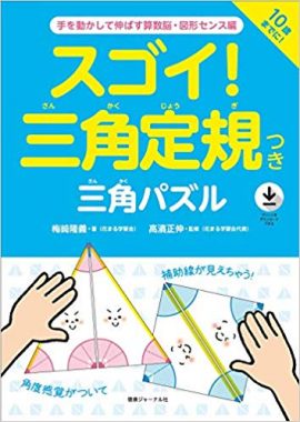 スゴイ 三角定規つき 三角パズル 手を動かして伸ばす算数脳 図形