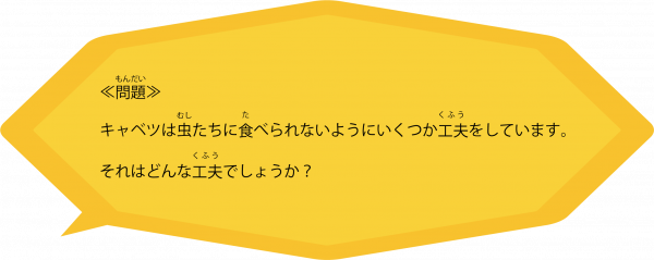 かわはた先生の 理科のおもしろい世界へようこそ 花まる学習会